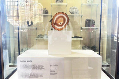 Our Royal Piece Of Quartz At The Natural History Museum - Holts Gems