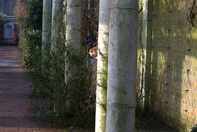 A Journey Through Time: The 1980s