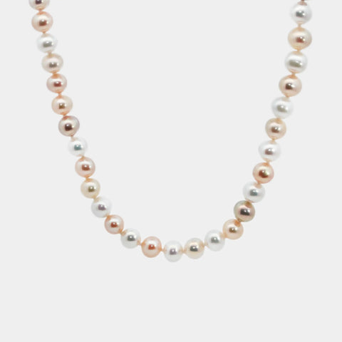 Multi-coloured Freshwater Pearl Necklace in White Gold