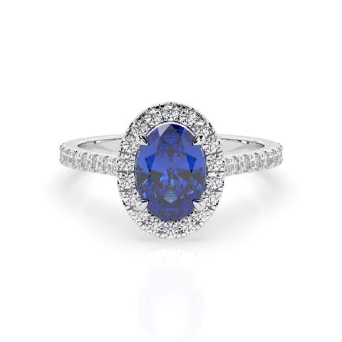 Sapphire Bluebell